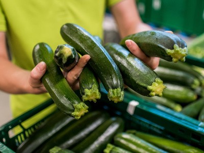 Zucchini  