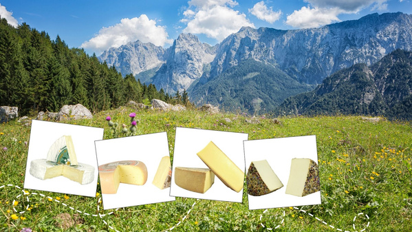 Naturpark Wilder Kaiser, davor Bilder von 4 Käse