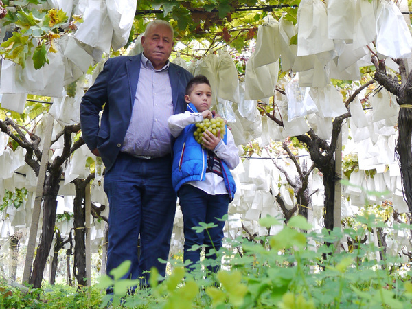 Dario Brucculeri mit seinem Enkel inmitten der Weinstöcke