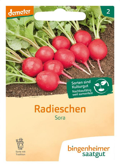 Produktfoto zu Saatgut Radieschen Sora
