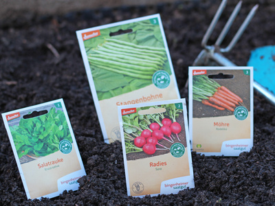 Saatgut von Bingenheimer im Gemüsebeet
