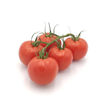 Produktfoto zu Tomaten Regio
