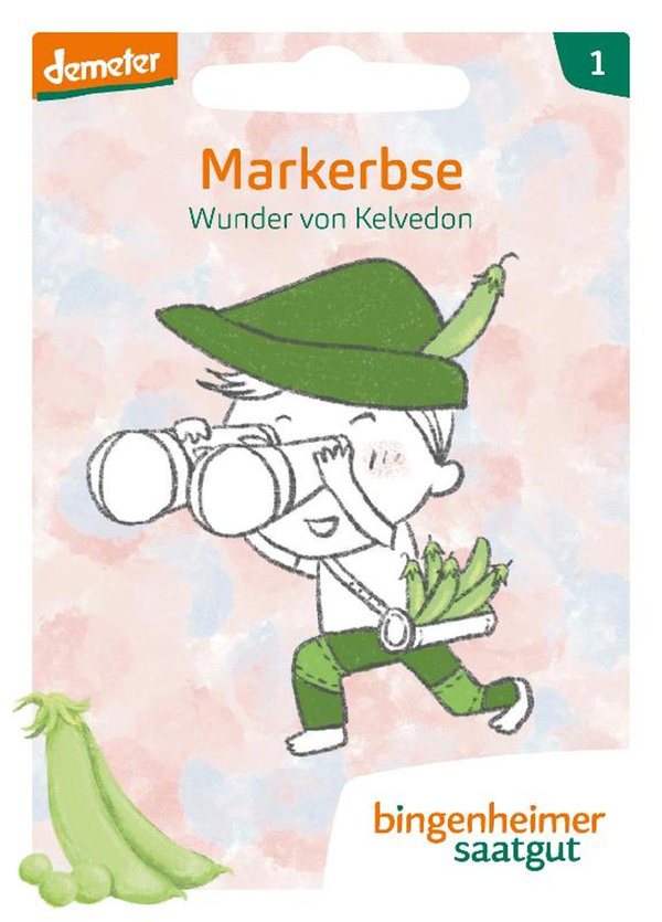 Produktfoto zu Saatgut Erbse, Wunder Kelvedon