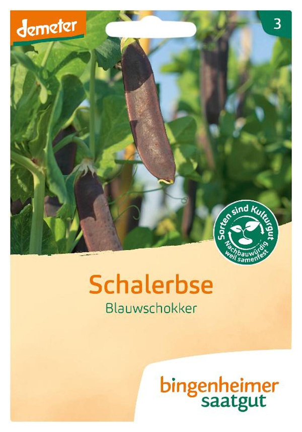 Produktfoto zu Saatg.Schalerbse Blauwschokker