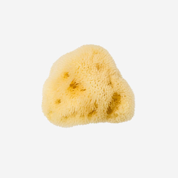 Produktfoto zu Levantiner Silk Schwamm 8 cm