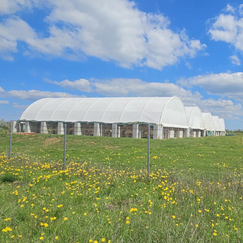 Zicklein Fleisch von Peters Ziegenglück KW 15