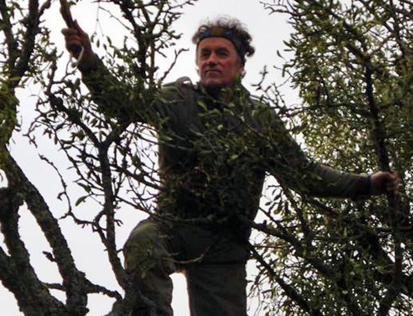 Wurdi im Baum - naturnah