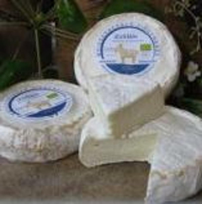 Produktfoto zu Ziegenbrie Torte, 10-12 Tage gereift