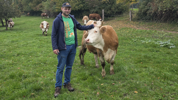 Simon vom Demeterhof Mondel auf der Kuhweide