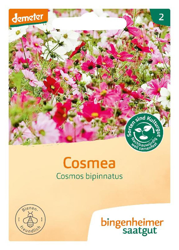 Produktfoto zu !Saatgut Cosmea