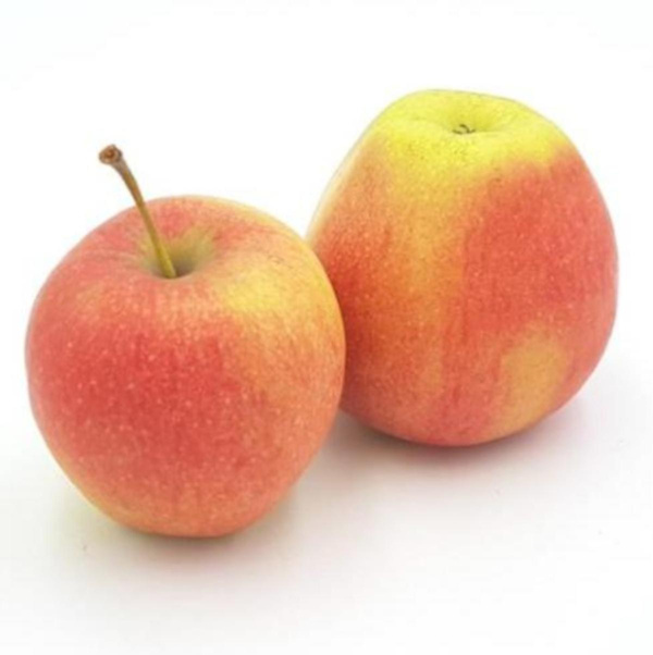 Produktfoto zu Apfel Pinova