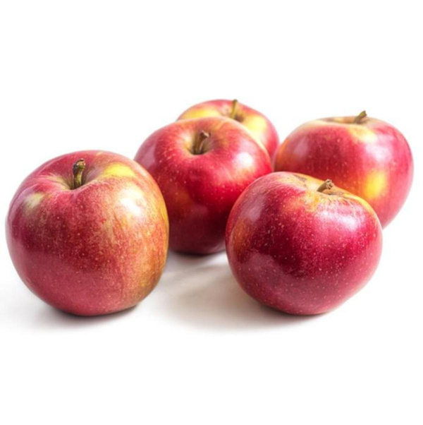 Produktfoto zu Apfel Rubinette