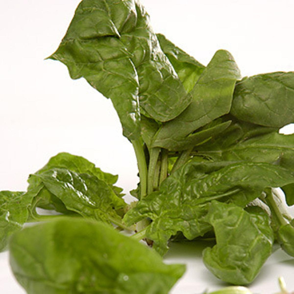 Produktfoto zu Baby-Spinat