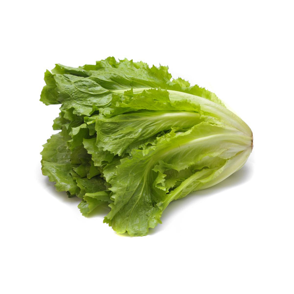 Produktfoto zu Salat Endivien