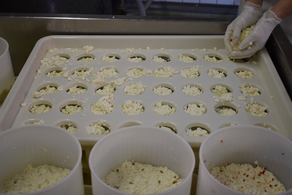 Portionierung Camembert