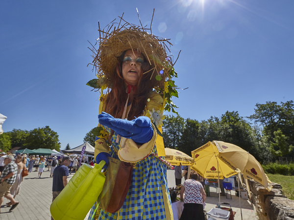 Gärtnerin auf Stelzen am Baumannshof-Hoffest 2026