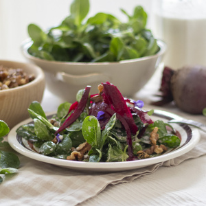 Feldsalat mit Rote Bete, Walnuss und Meerrettichdressing