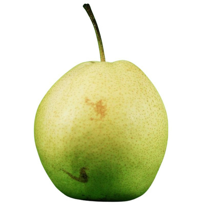 Produktfoto zu Birne Xenia