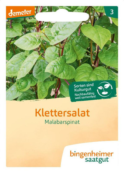 Produktfoto zu Saatgut Klettersalat