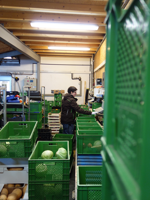 Mitarbeiterin packt Gemüse in grüne Kisten