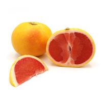 Grapefruit