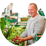 Karotten werden in eine Kiste gepackt