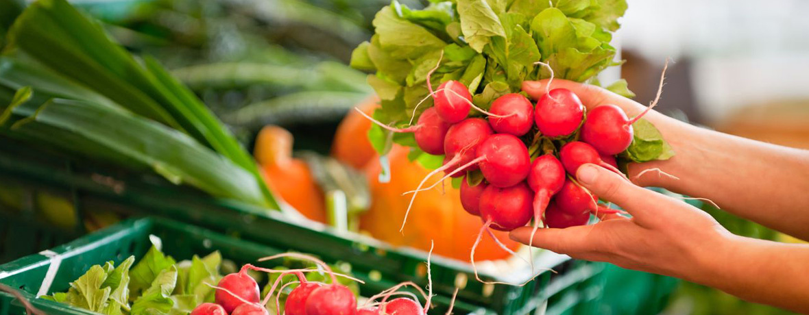 Stimmungsbild Radieschen Lauch Grüne Kiste Öko Bio