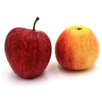 Produktfoto zu Apfel Gala - neue Ernte