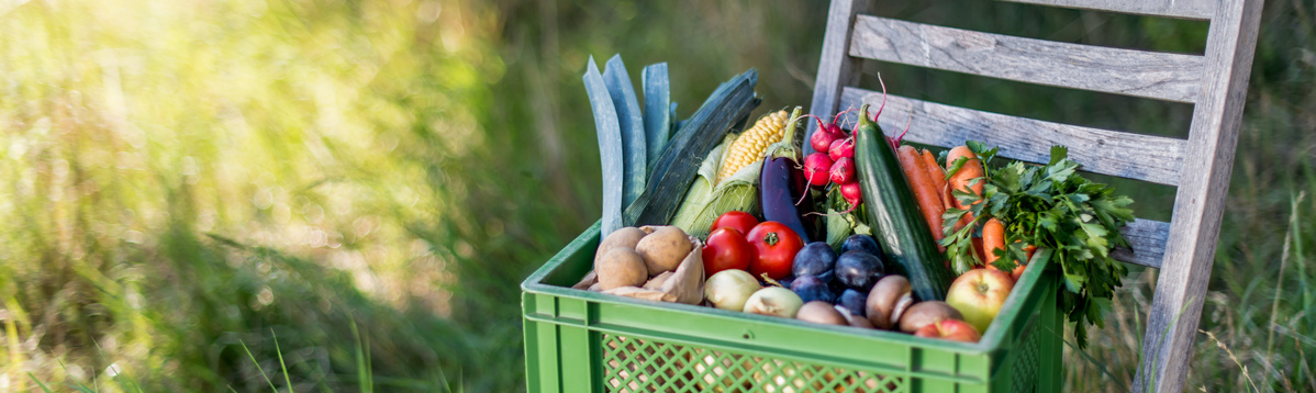 Kiste mit Obst und Gemüse