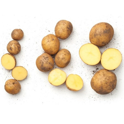 Produktfoto zu Frühkartoffeln, vfk, 1kg