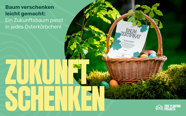 Banner: Zertifikat im Osterkörbchen