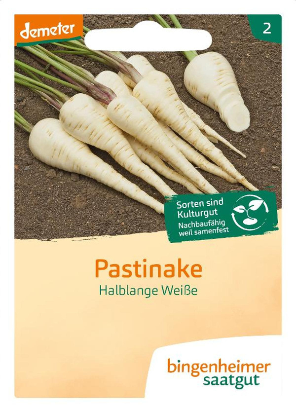 Produktfoto zu Saatgut Pastinaken