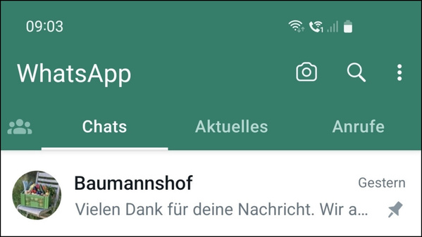 Screenshot WhatsApp Kontakt Baumannshof