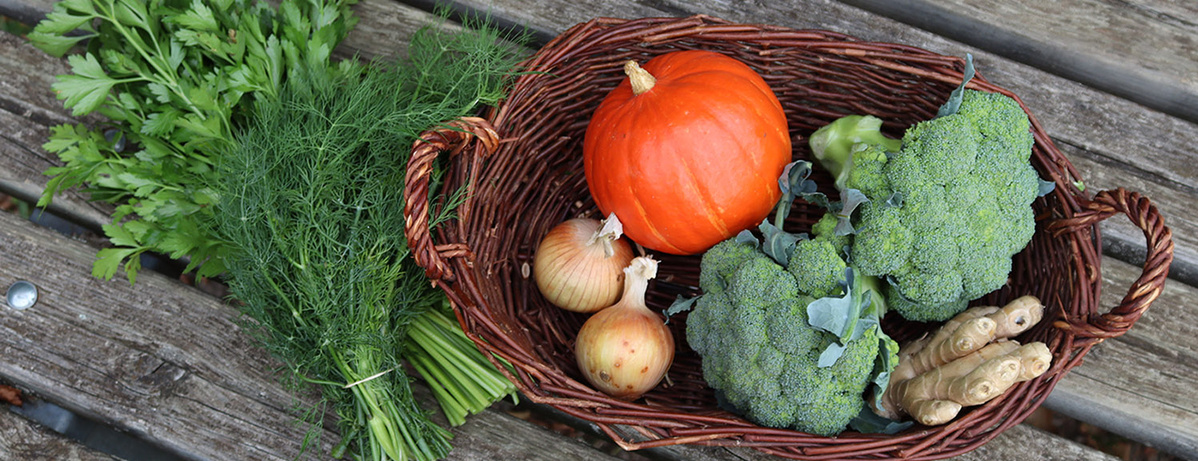 Korb mit Kürbis, Brokkoli, Kräuter etc.