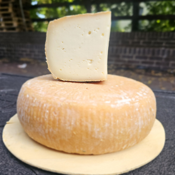 Ziegenkäse Laib