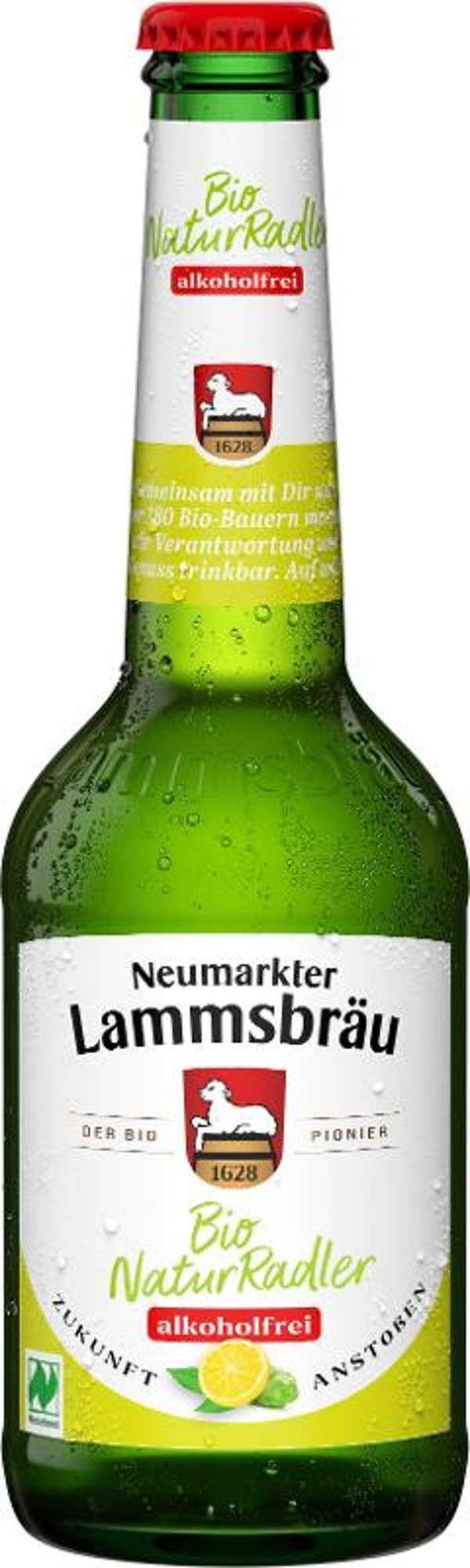 Produktfoto zu RADLER alk.-frei 10x0,33l