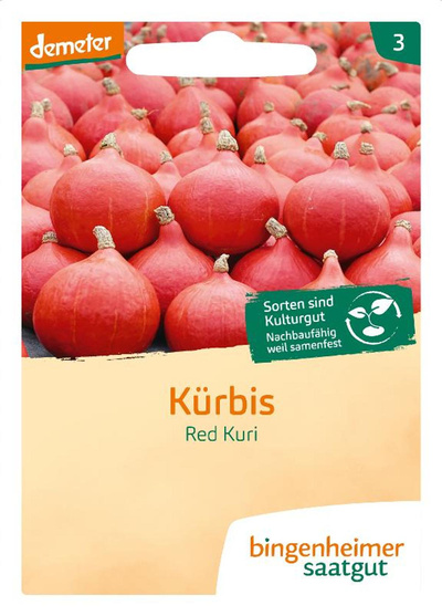 Produktfoto zu Saatgut Kürbis Hokkaido Red