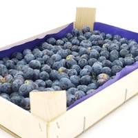 Heidelbeeren