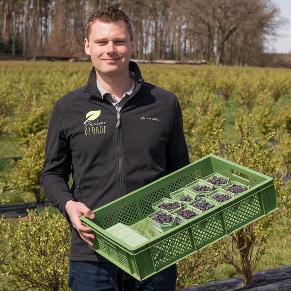 Michael Decker vom Biohof Decker mit Haskap-Beeren