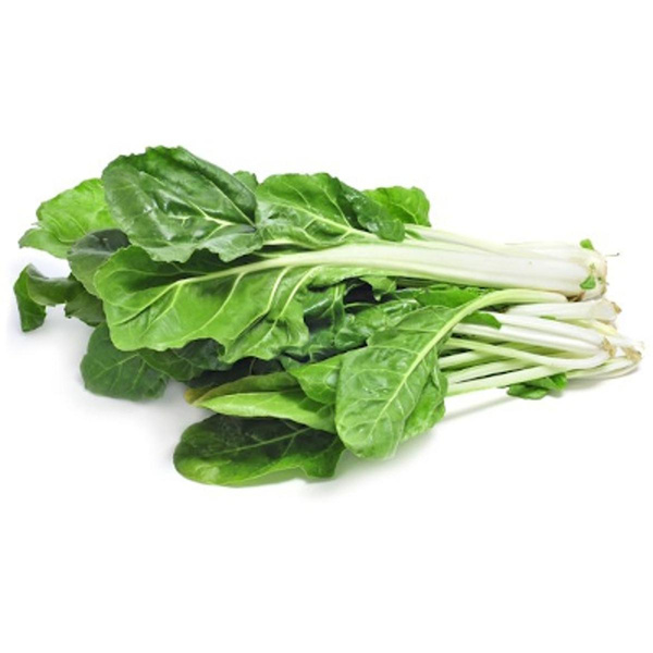 Produktfoto zu Mangold bunt