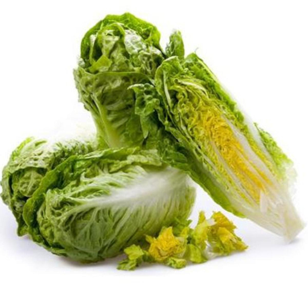 Produktfoto zu Salatherzen Romana