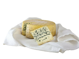 Friesisch Blue