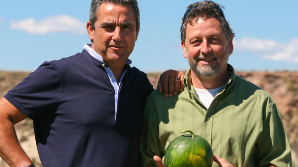 Wolfgang auf spanischen Feldern transparente Lieferanten