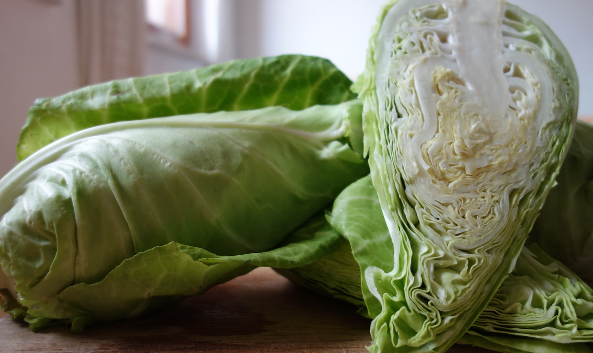 Spitzkohl