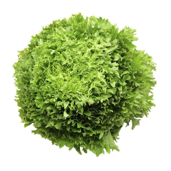 Produktfoto zu Salat Salanova frisée grün