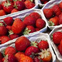 Erdbeeren