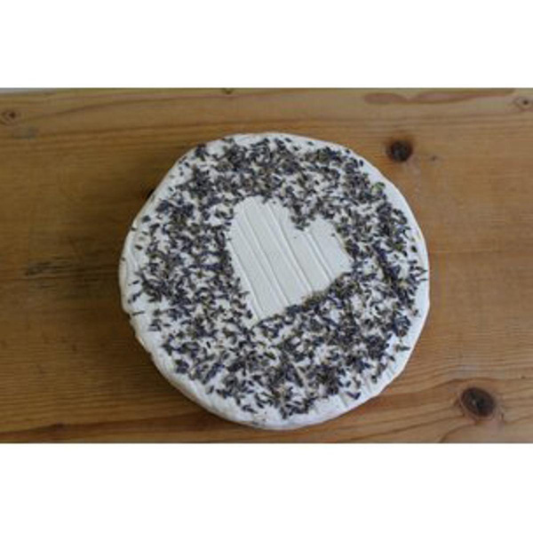 Produktfoto zu Ziegenbrie mit Lavendel
