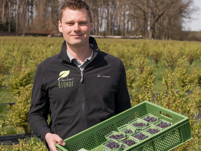 Michael Decker auf dem Haskap-Feld
