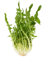 Puntarelle