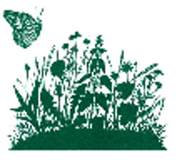 Produktfoto zu Hopfen, Blütenblätter 50g